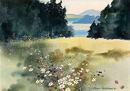 WILD SUMMER FLOWERS, NEAR BLESSINGTON, 1981
