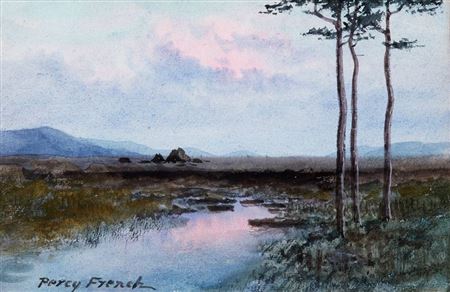 SUNSET OVER THE BOG