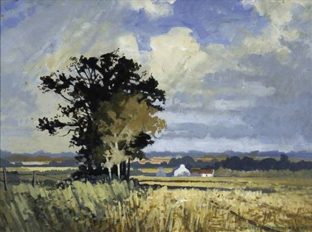 EVENING LIGHT, COUNTY MEATH