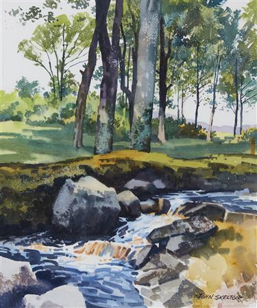 WOODLAND STREAM, BELLEWSTOWN, COUNTY MEATH, 1997