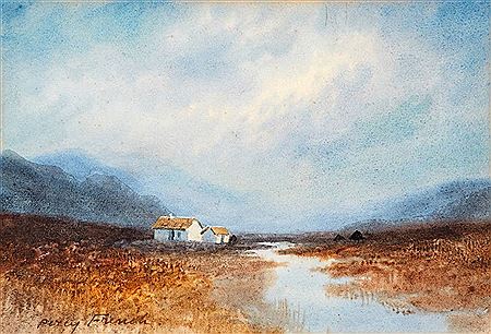 THATCHED COTTAGE IN A BOG