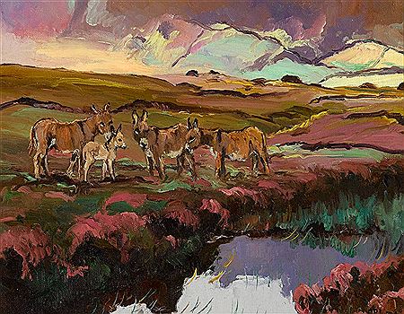DONKEYS NEAR DUNFANAGHY, COUNTY DONEGAL