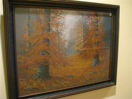 Autumn Interior Woods