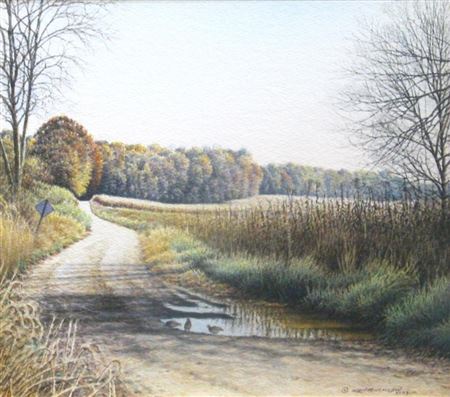 "Bobwhite Puddle"