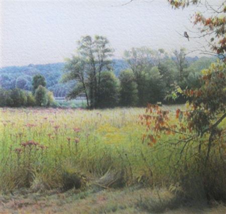 "Fall Beauty"