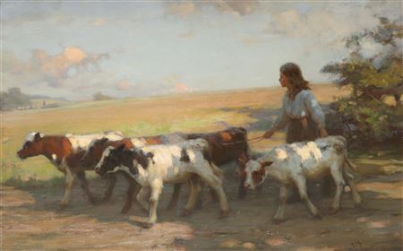 A girl driving cattle