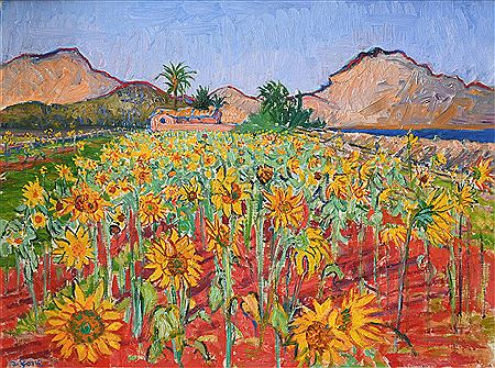 Sunflowers, Pollença, Majorca