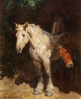 Horses in the shade