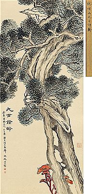 PINE TREE AND GANODERMA