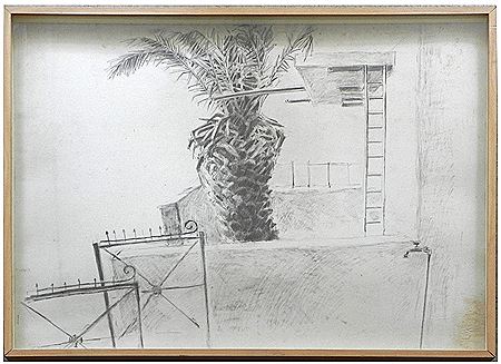 A courtyard in Tel Aviv with a palm tree