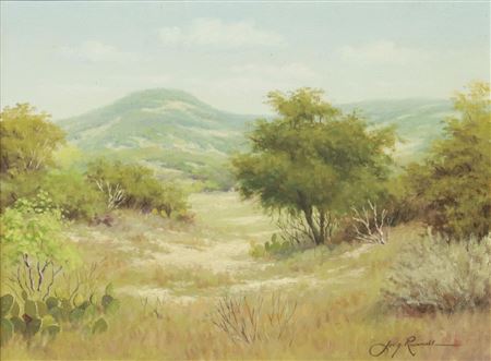Texas Hill Country