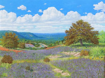 Bluebonnets and Texas Hills