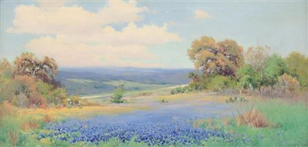 Bluebonnets