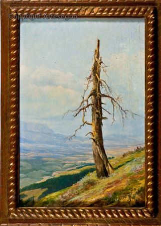 Il superstite by Marcelliano Canciani - Auction record, sale price, and art valuation. Compare with similar artists and explore comparable artworks.