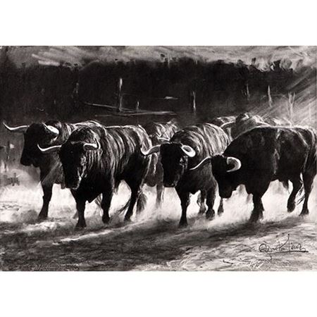 Bulls
