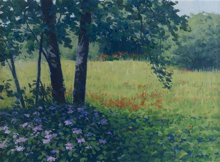 Hydrangeas and Monbratia, West Cork, 1999