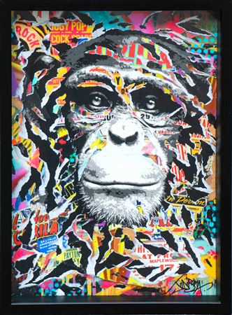 Monkey