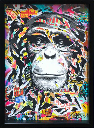 Monkey