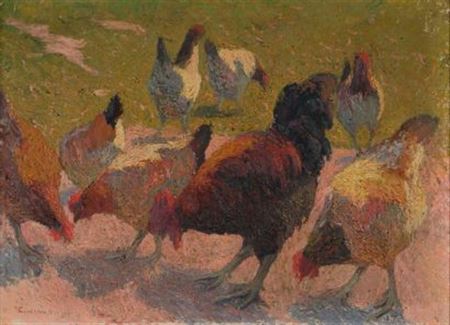 Poules et coq