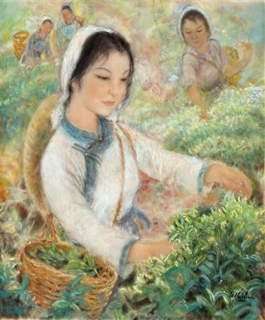 Tea picking