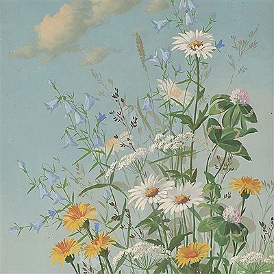 Meadow flowers with clover