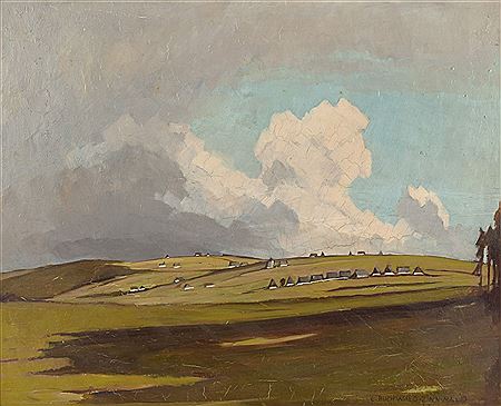 Erzgebirge landscape with houses