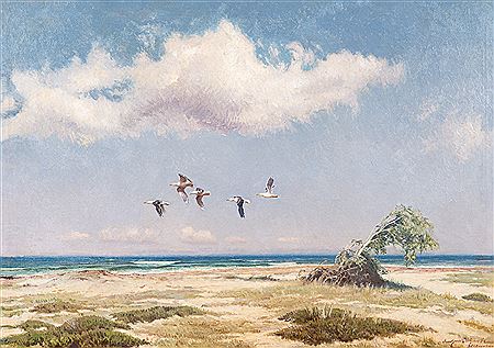 Möwen über Ostseestrand