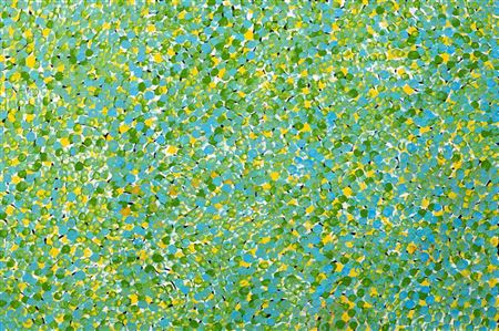 "Awelye Atnwengerrp" by Galya Pwerle - Auction record, sale price, and art valuation. Compare with similar artists and explore comparable artworks.