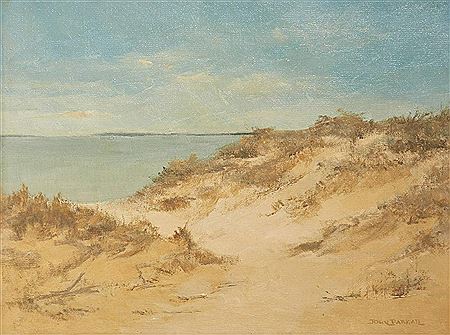 Beach Dunes