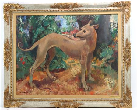 Scene of dog in brush