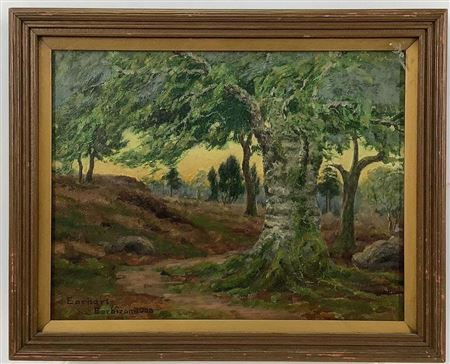 Forest landscape with a meandering dirt path and large moss covered tree