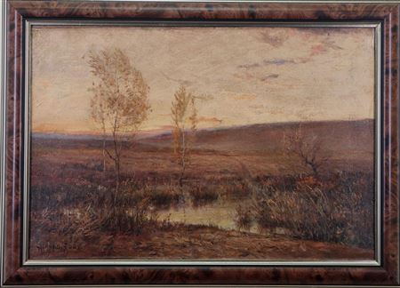 Marshy landscape with a setting sun in the distance