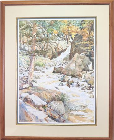 Stream meandering through rocky outcroppings and trees