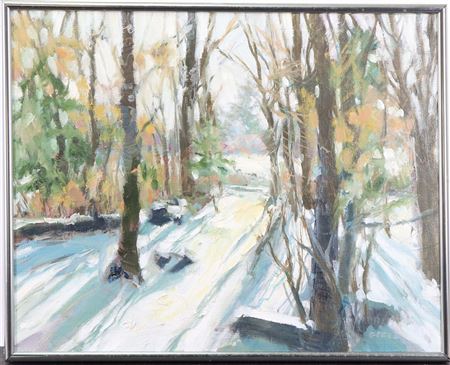 Snowy Forest Scene