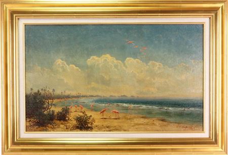 Tropical coastal landscape with flamingos foraging on the coastline