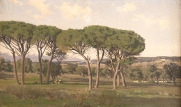Pines of the Plantío de los Infantes, Madrid, 1894.