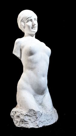 Nude woman in bust by Charles-Felix Gir - Auction record, sale price, and art valuation. Compare with similar artists and explore comparable artworks.