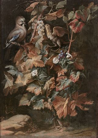 Geai et étourneau sur un pied de vigne entouré de liseron