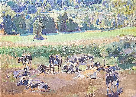 Cows in pasture