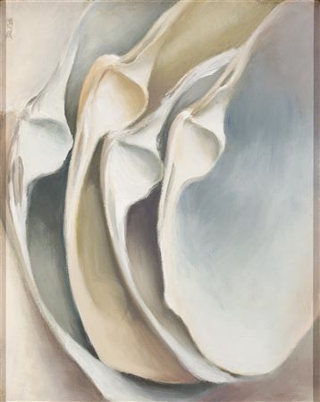 Stacked Clam Shells