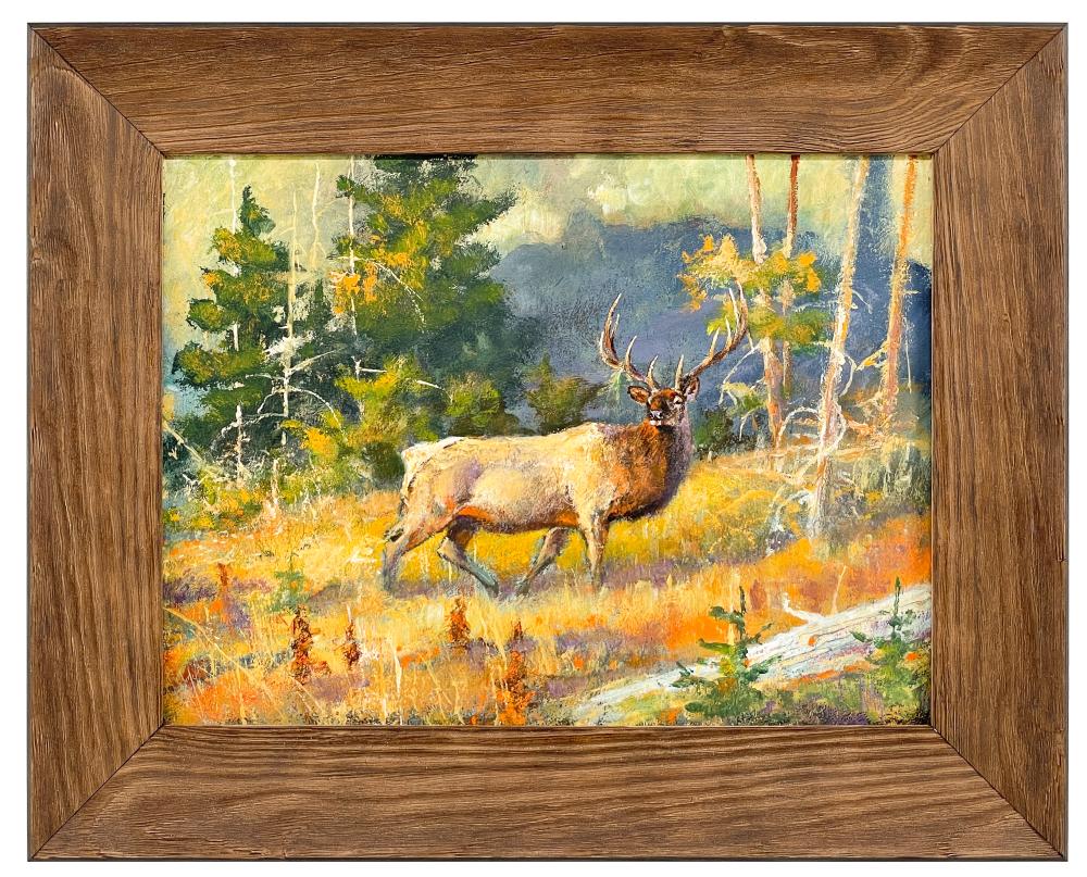 Elk 1976