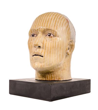"CABEZA AMARILLA"