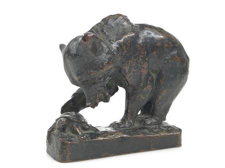 "BEAR & TORTOISE"