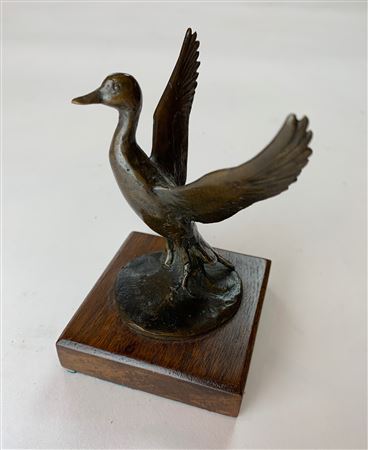 Flying Duck