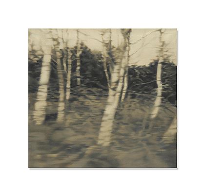 Trees