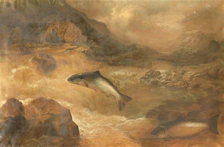 Salmon leap on the Spey