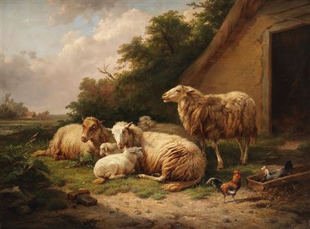Sheep at rest