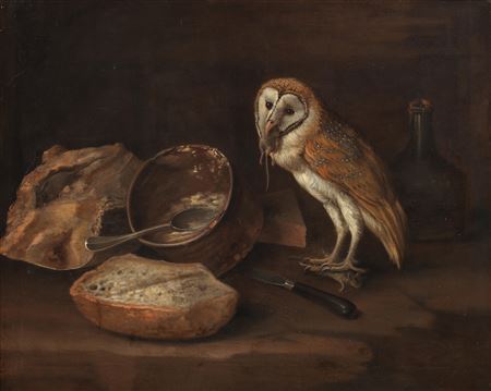 A kitchen still life with a barn owl