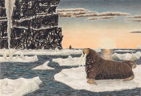 Walruses and polar bear on ice floes