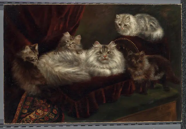 A family of cats on a red velvet bed